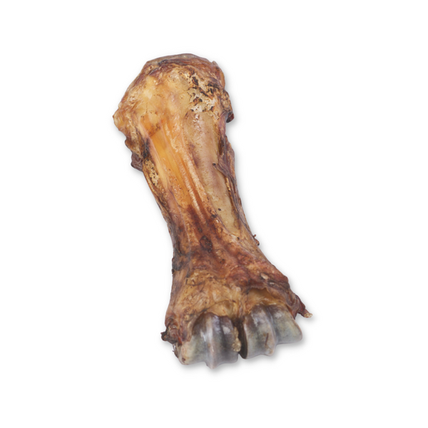 Beef Whole Shin Bone - Organic