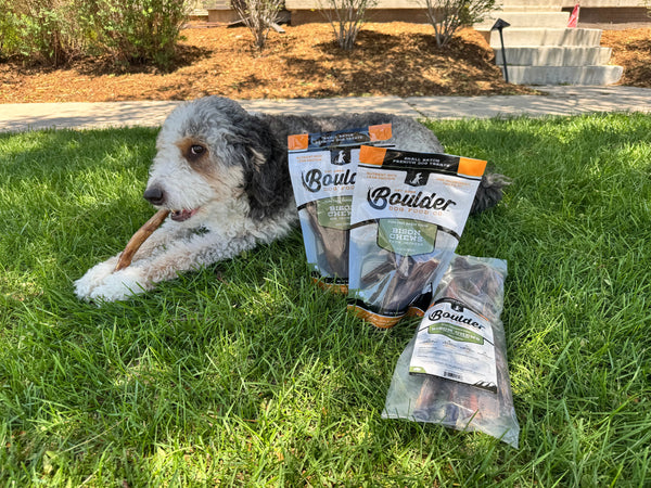 Clearance Sushi & Cheap Dog Chews: Why Premium Matters