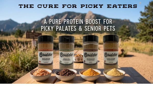 Dog Food Toppers | Flavor Boost For Picky Eaters