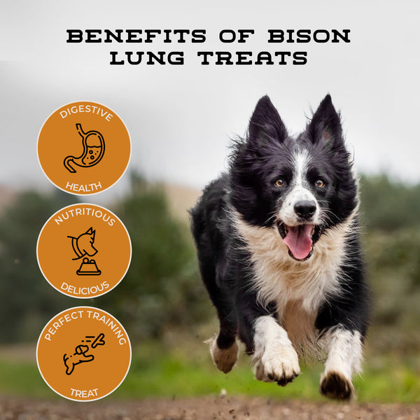 Bison Cubes | All-Natural, Single-Ingredient Dog Treats