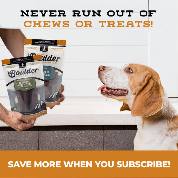 Dog looking at Boulder Chews packages with a promotional message on a white background