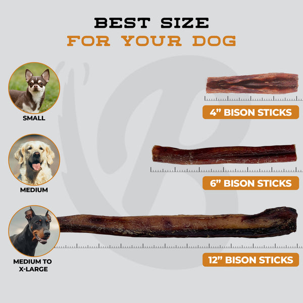 Bison bully stick size comparison chart. The 6-inch Bison Stick is shown as the ideal size for medium dogs like Beagles or small Labs.