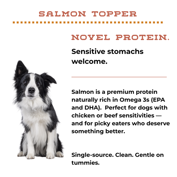 Salmon Topper | Picky Eater Flavor Booster