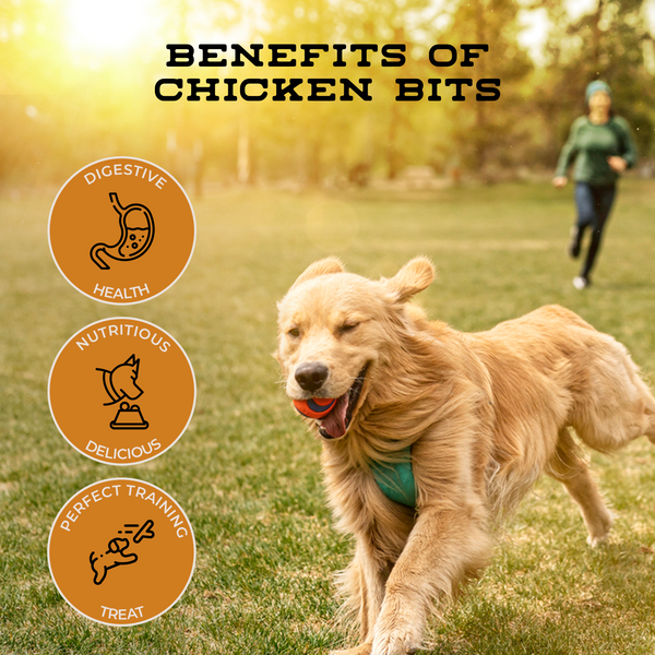 Dog running outdoors with 'Benefits of Chicken Bits' text and icons.
