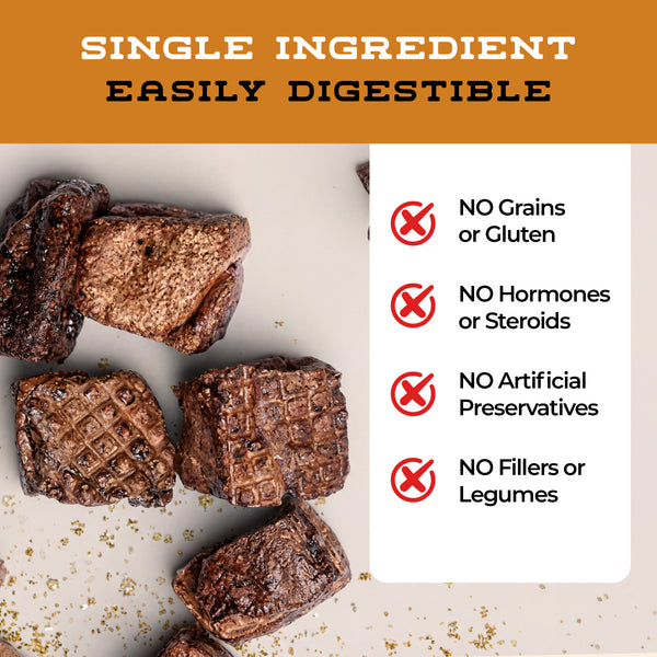 All-natural single-ingredient dog treats infographic featuring high-quality Boulder Dog Food Co. Bison protein.