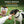 Dog being offered a treat from a Boulder Pet Food bag with text about small-batch USA-made products.