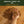 Hand holding pet food pellets with text 'Break them up or serve as is' on a wooden surface