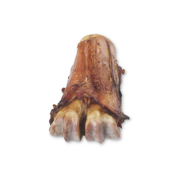 Beef Split Shin Bone - Organic