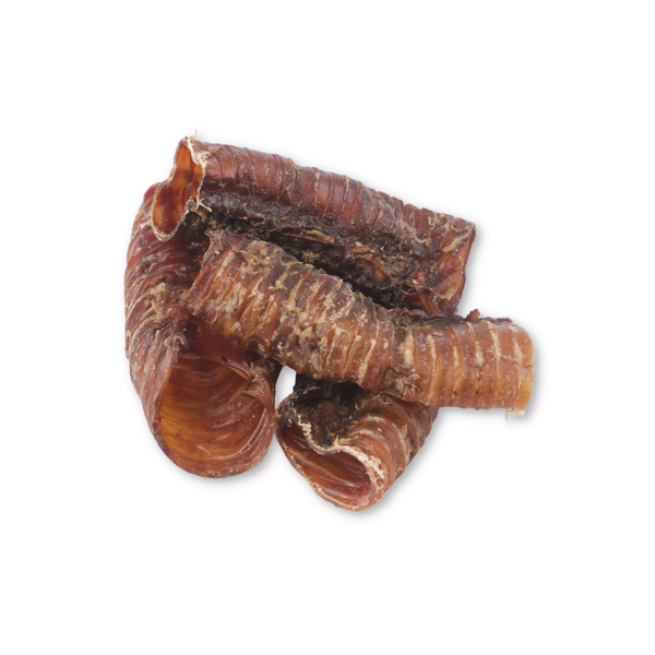 Bison Pipes
