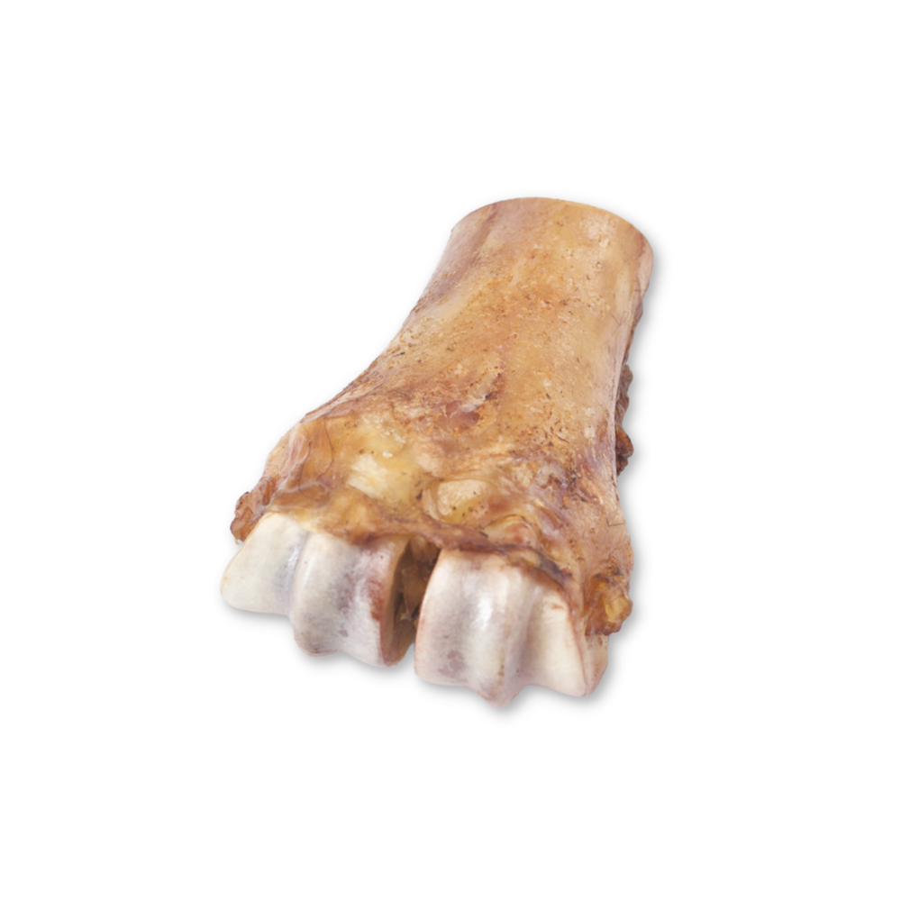 Bison Split Shin Bone - Main Image