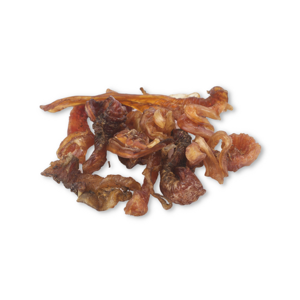 Bison Tibial Tendons