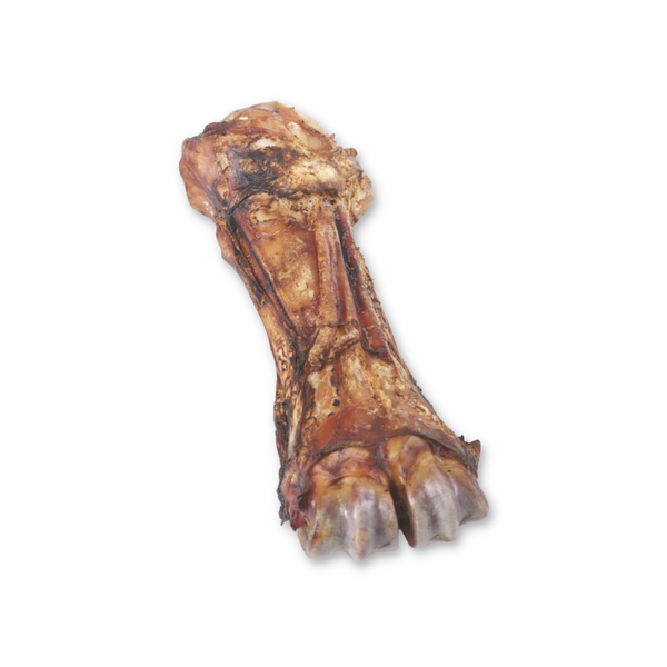 Close-up of a Boulder Dog Food Whole Bison Shin Bone. Showing the dense, durable, and hickory-smoked exterior designed for powerful jaws and long-lasting enjoyment.